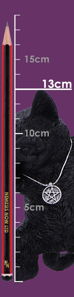 Hex and Flex Humorous Gothic Black Cat Figurine