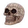 Puzzled Skull 11.7cm