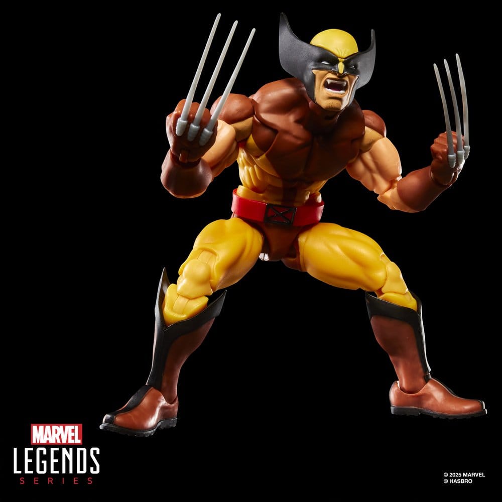 Marvel Legends Action Figure 2-Pack Storm & Wolverine 15 cm