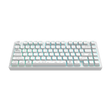 Dark Project ALU Terra Nova R2 White - Wireless Gaming Keyboard (ANSI)