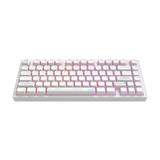 Dark Project ALU Terra Nostra White - Wired Gaming Keyboard (ANSI UA)