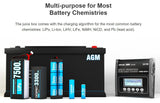 SkyRC D250 Ultimate Duo 250W - AC/DC Balance Charger / Discharger / Power Supply