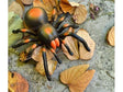 Fjernstyret edderkop - Tarantula