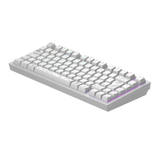 Dark Project ALU Terra Nova White - Wireless Gaming Keyboard (ISO DE)