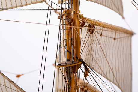 1:100 Esmeralda Special Edition  -Wooden hull