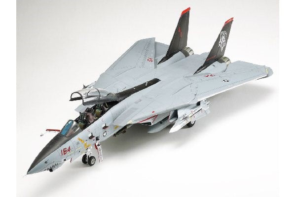 1/48 Grumman F-14D Tomcat