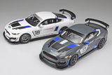 1:24 Ford Mustang GT4