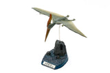 1/35 Pteranodon