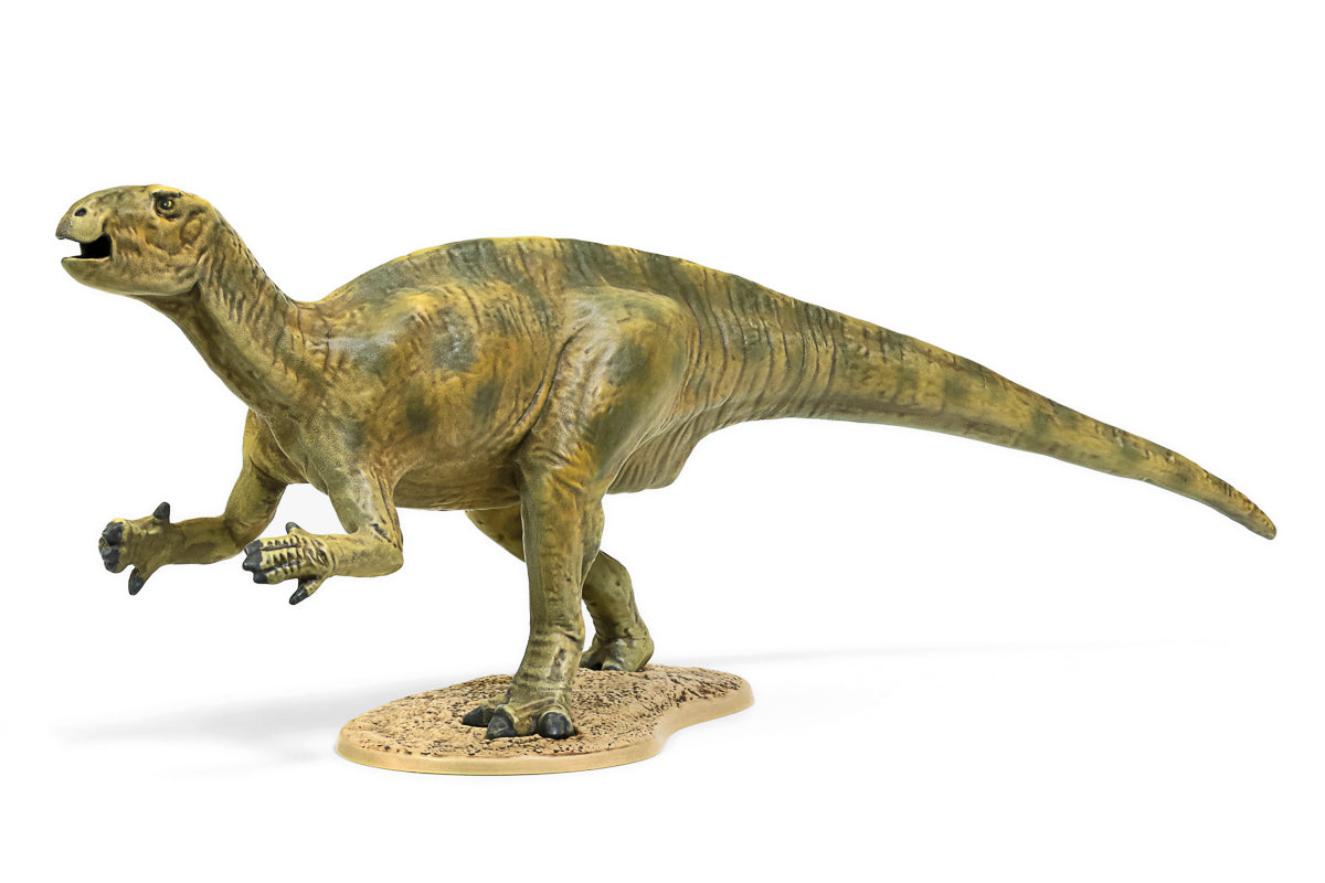 1/35 Fukuisaurus