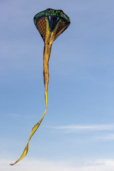 COBRA - Single drage med sejl fra Ripstop-polyester m. håndtag og line
