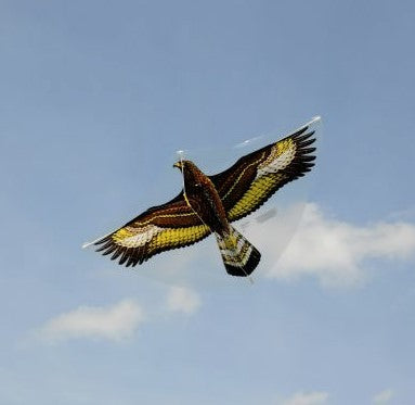 STEINADLER - Drage