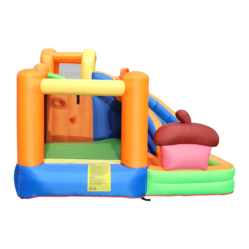 Doctor Dolphin Bouncy Castle with Squirrel incl. 450W blower