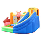 Doctor Dolphin Bouncy Castle with Squirrel incl. 450W blower