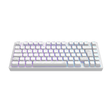 Dark Project ALU Terra Nostra White - Wired Gaming Keyboard (ISO DE)