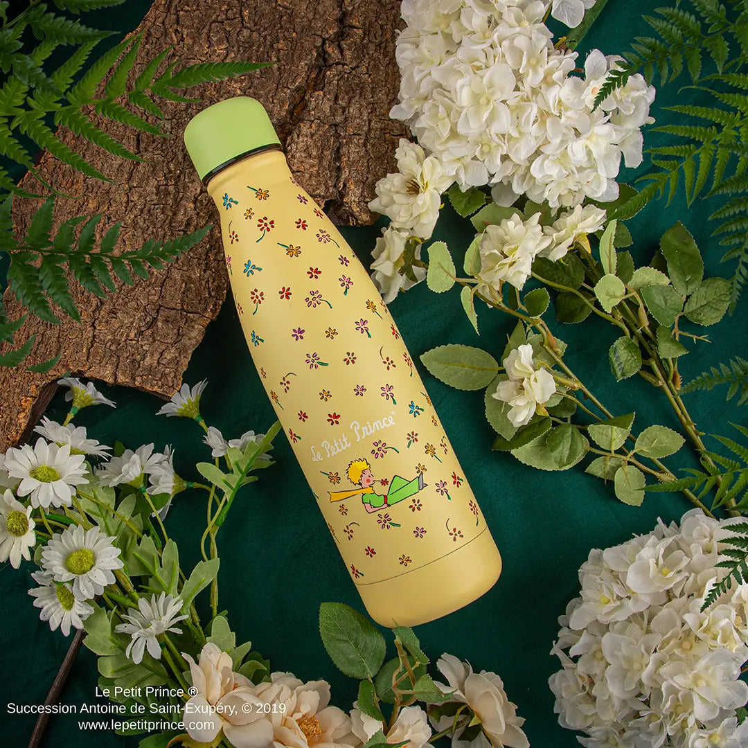 500ml Insulated bottle Wildflower Garden - The Little Prince