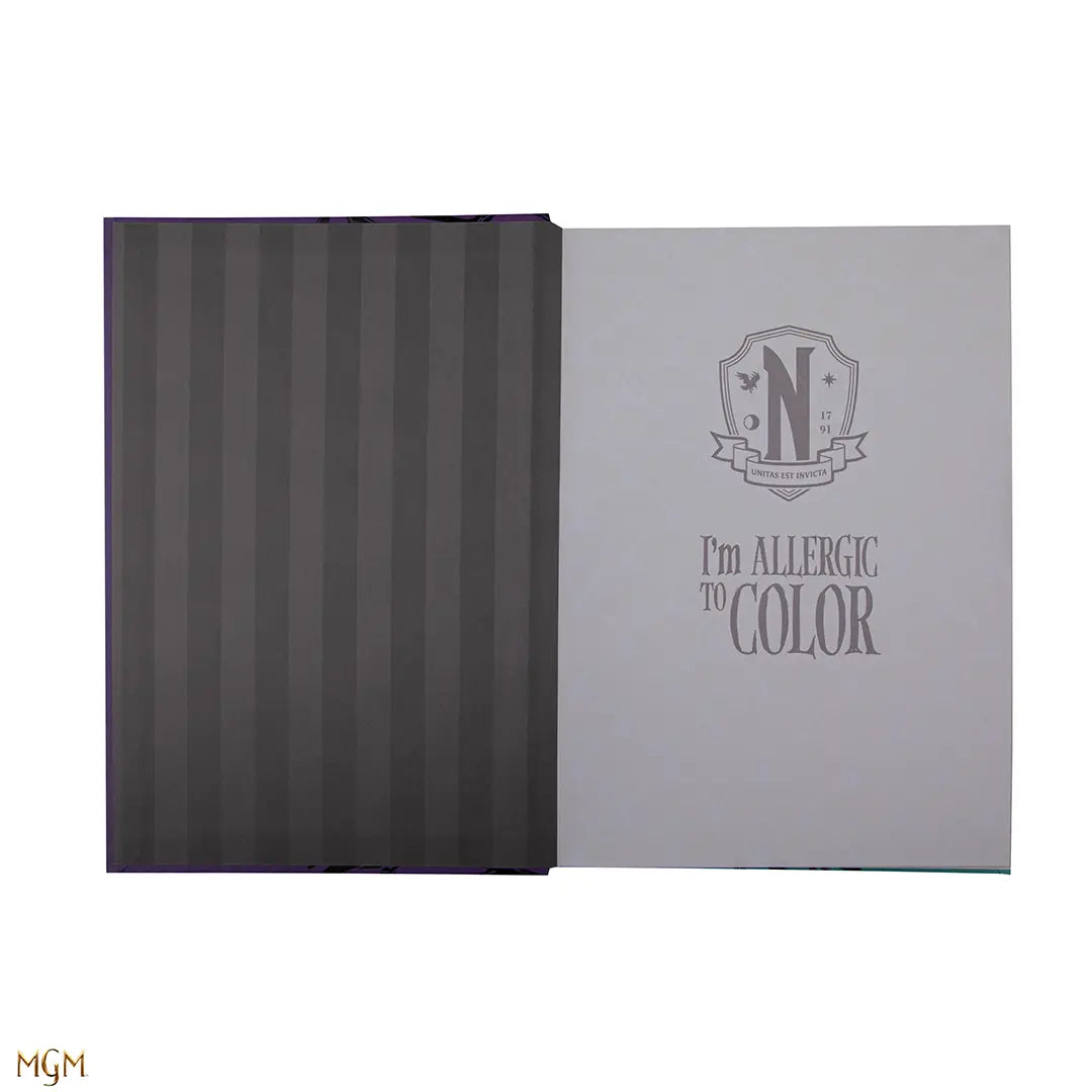 Hard cover double-entry notebook Wednesday and Enid - Wednesday
