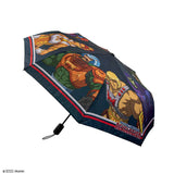 Umbrella characters - Masters of the Universe