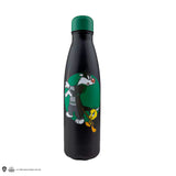 Insulated water bottle Slytherin Looney Tunes - WB 100th