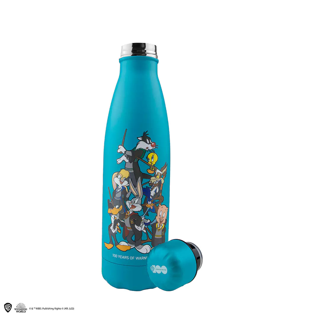 Insulated water bottle Looney Tunes at Hogwarts - WB 100th