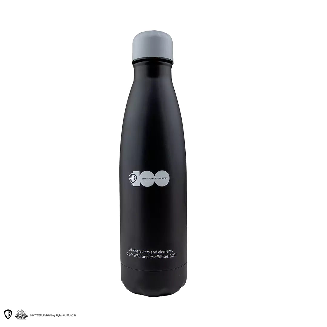 Insulated water bottle Looney Tunes - WB 100th