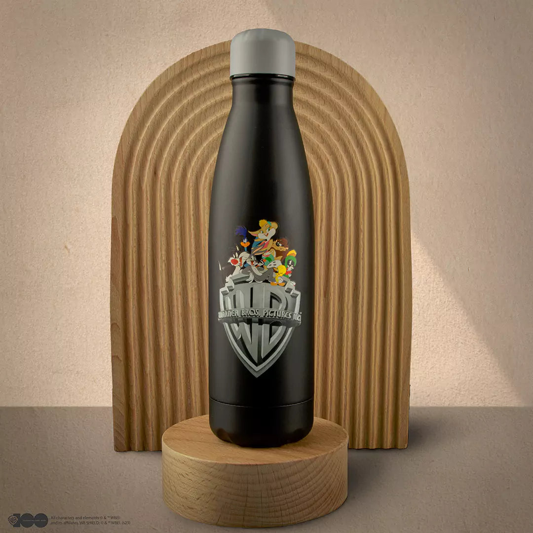 Insulated water bottle Looney Tunes - WB 100th