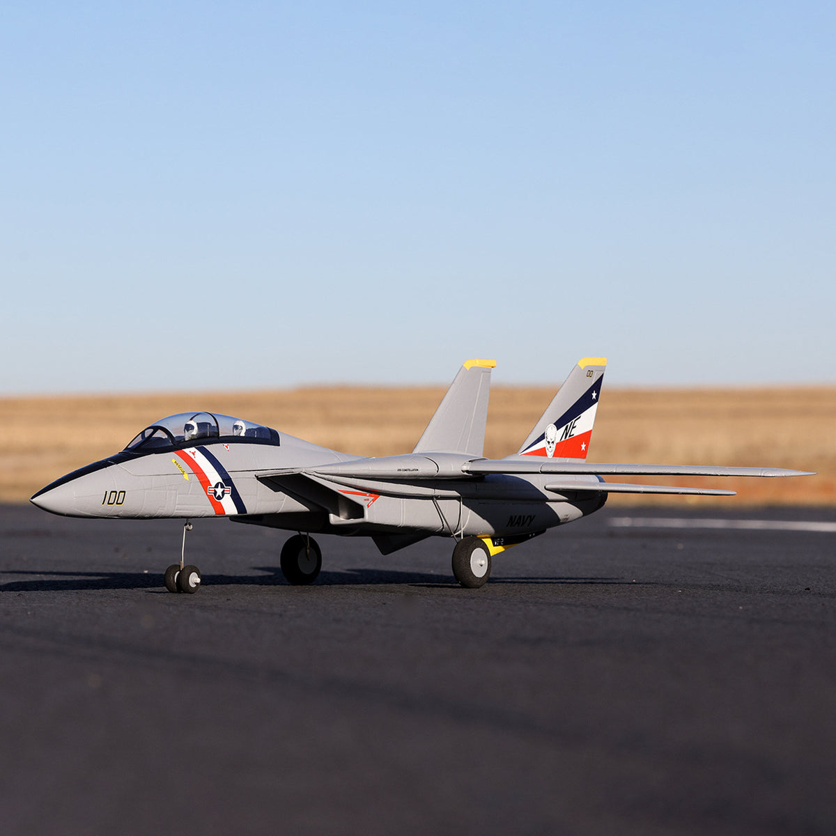 F-14 Tomcat Twin 40mm EDF BNF Basic