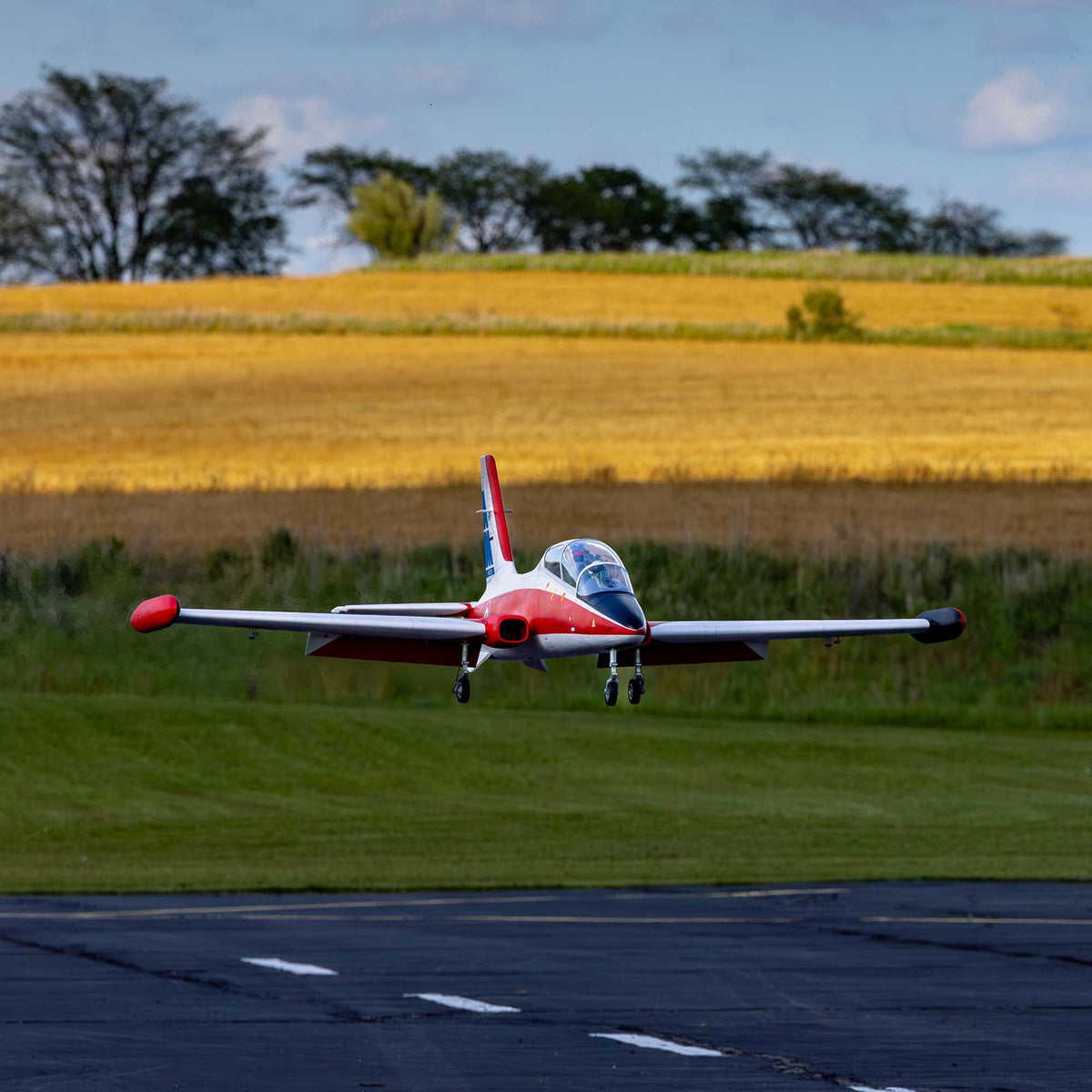 Aermacchi MB-339 60-86N Turbine ARF; Military