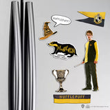 Foam magnet board - Hufflepuff - Harry Potter