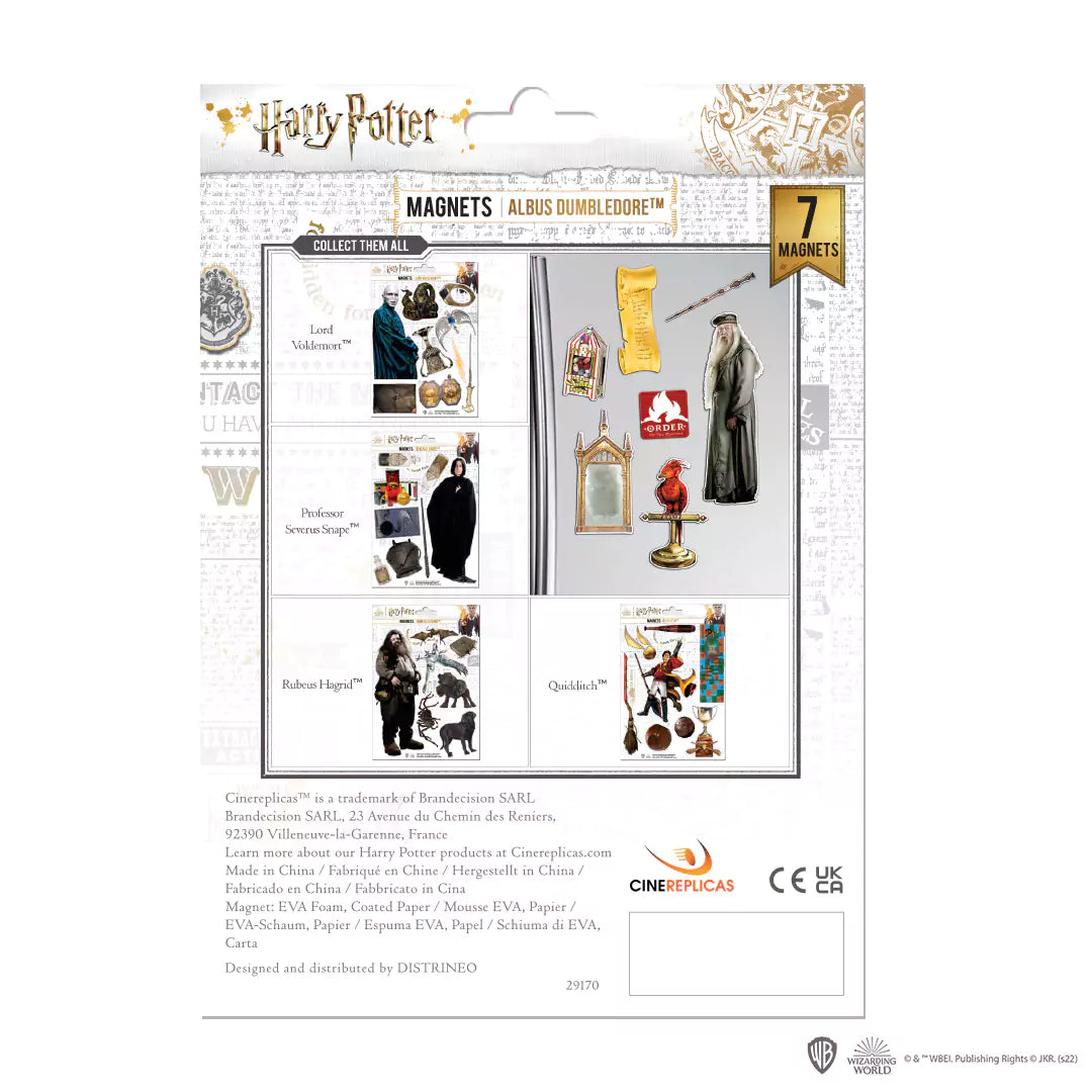 Foam magnet board - Dumbledore - Harry Potter