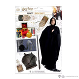 Foam magnet board - Severus Snape - Harry Potter