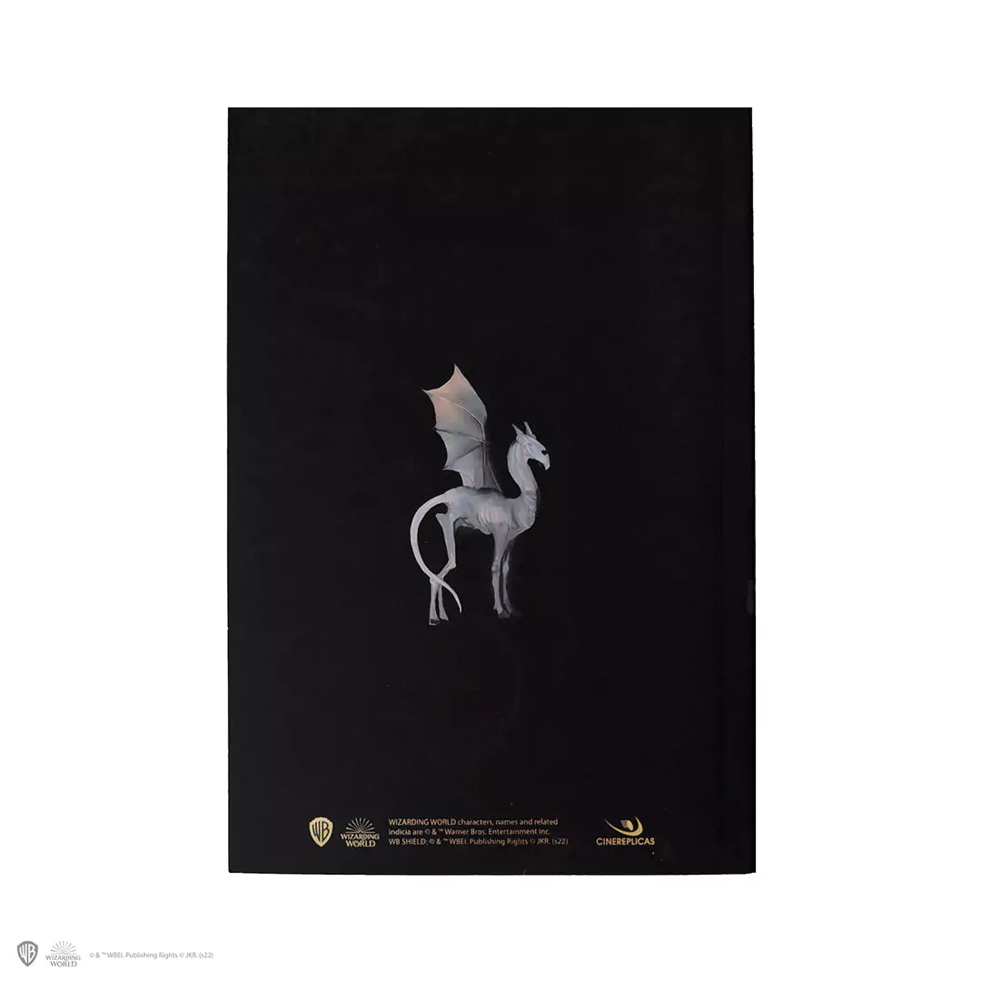 Soft cover notebook - Luna Lovegood portrait