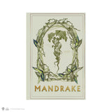 Soft cover notebook - Mandrake