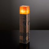 Torch illuminating Collector Replica - Minecraft
