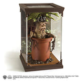 Magical creatures - Mandrake
