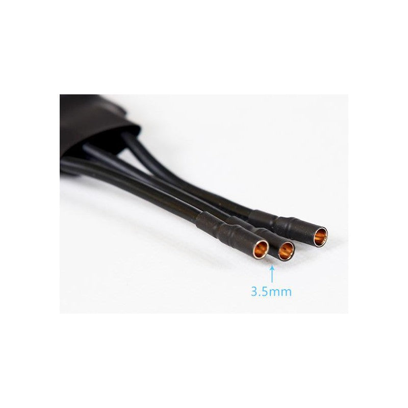 60A ESC (Hobbywing)