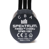 Firma 3660 3100Kv 4 Pole Sensorless Brushless Motor: 5mm