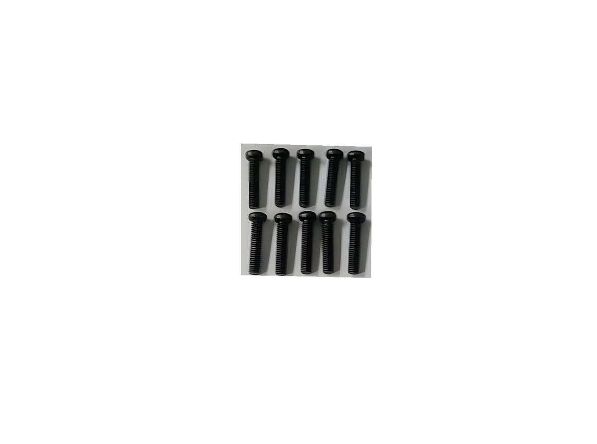 Phillips Screw M3x14mm (10)