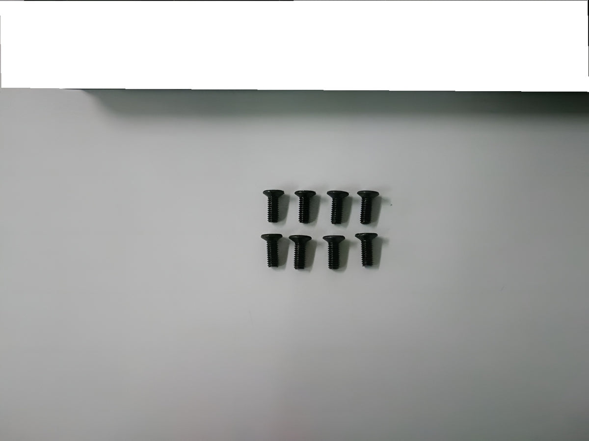 Phillips Countersunk Screw M2x4mm (6)