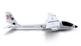 WL A800 Glider 800mm