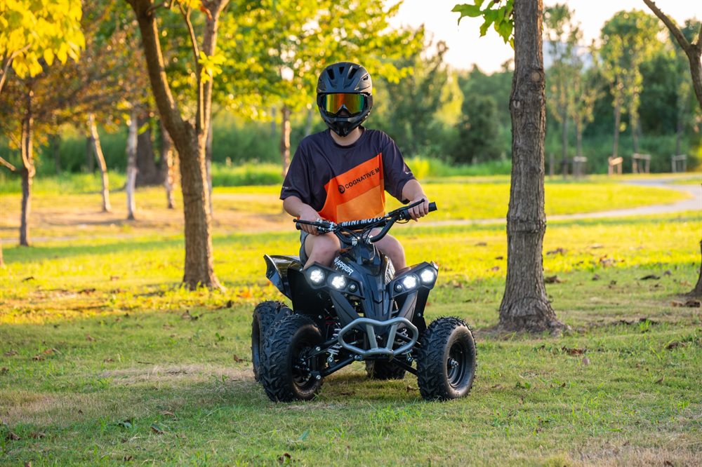 Azeno Warrior 1000W 48V El-ATV 25 km/h