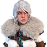 PureArts The Witcher 3 Wild Hunt : Ciri of Cintra 1/6 Scale Articulated Figures