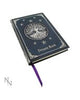 Fates Reflection Gothic Mirror Female Skeleton Ornament
