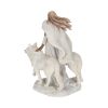 Anne Stokes Winter Guardians Wolf Companion Figurine – billede 4
