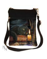 Lisa Parker Witching Hour Cat Snowglobe