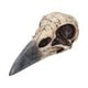 Edgar's Raven Skull Figurine Edgar Allen Poe Ornament
