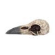 Edgar's Raven Skull Figurine Edgar Allen Poe Ornament