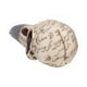 Edgar's Raven Skull Figurine Edgar Allen Poe Ornament