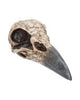 Fantasy Gothic Dragon Skull Trinket Box