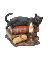 Nemesis Now Lisa Parker Witching Hour Cat Witch Purse Black 18.5cm