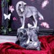Guidance Ornament Wolf and Pup Figurine by Lisa Parker